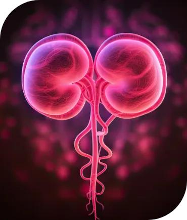 Kidney Disorder