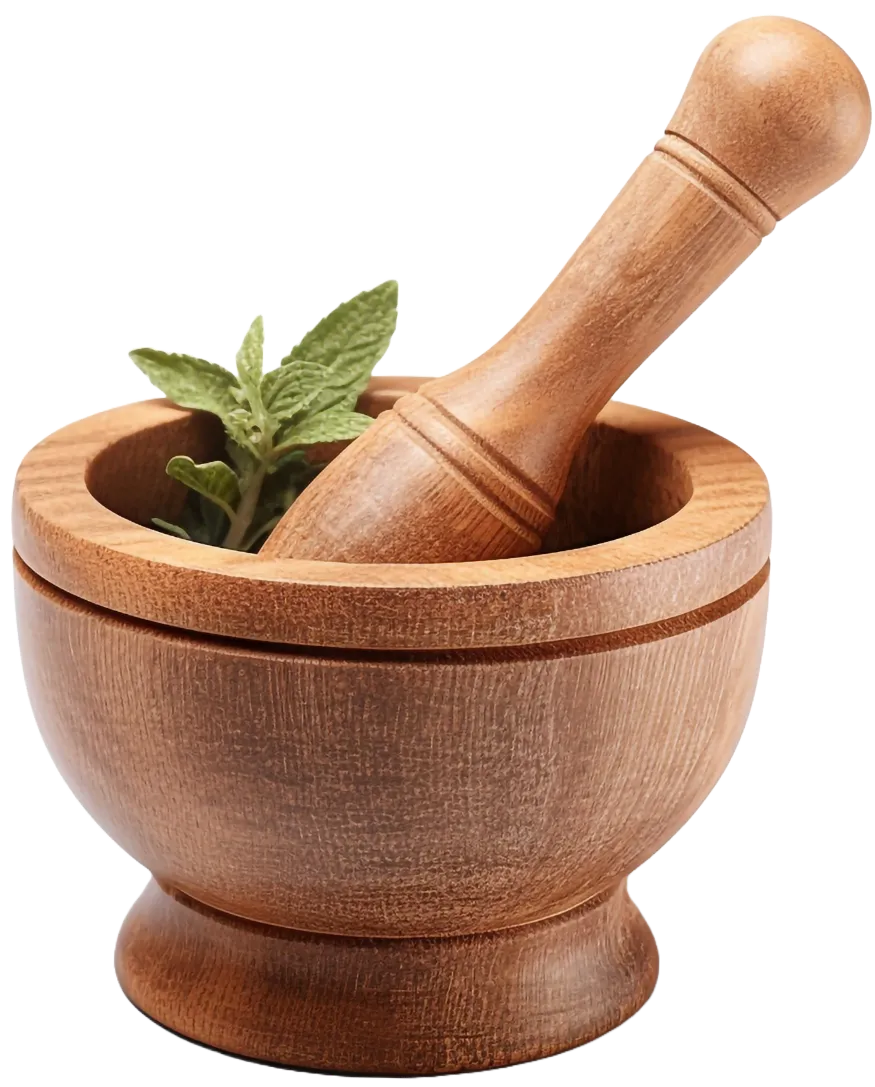 Best Ayurvedic Hospital in Kerala and India